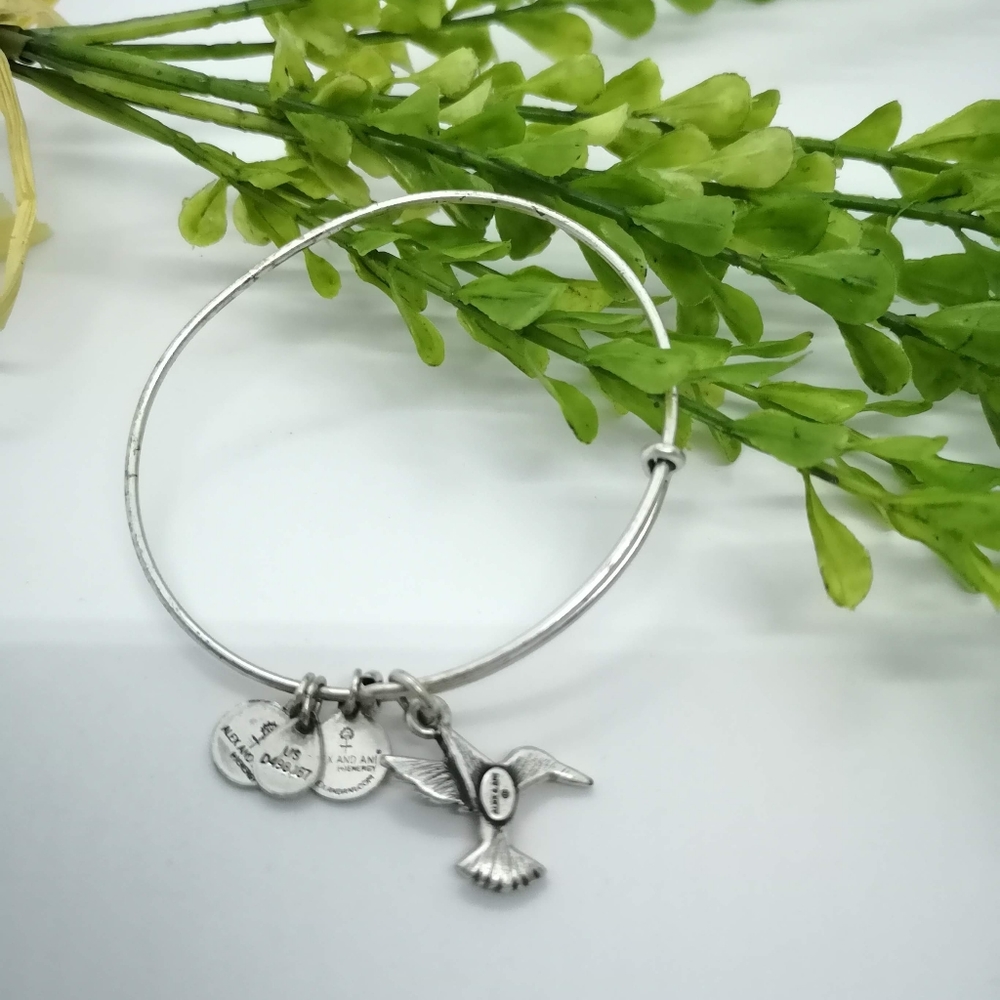 Alex and Ani bracelet
